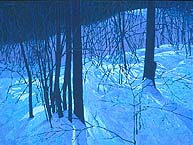 * Veil of Snow, 30 x 40 inches, oil on canvas, 1995