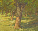 Cork Oaks, 8-3/4 x 10-1/4 inches, oil on panel, 2000