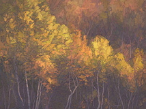 Autumn Smolder, 30 x 40