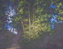 Riverside Trees, 36 x 46, oil on linen
