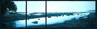* Low Tide, 22 x 77 inches, oil on canvas, 1988