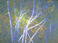 * Twisting Birches, 30 x 40 inches, oil on canvas