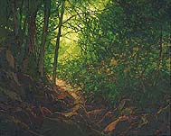 * Katahdin Trail, 40 x 50 inches, oil on canvas, 1996
