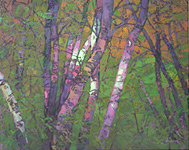 Spring Birches, 40 x 50 inches, oil on canvas