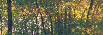 * Afternoon Forest, 25 x 70 inches, oil on canvas