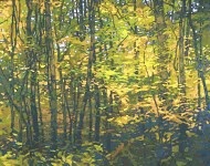 * In the Woods, 40 x 50 inches, oil on canvas