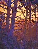 * Purple Pine, 40 x 30 inches, oil on linen, 1997