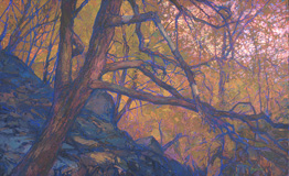 * Broken-Limbed Tree, 26 x 39 inches, oil on canvas