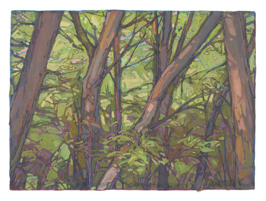 * In the Woods, 4 x 5-1/2