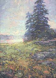 Bold Coast Spruce, 14 x 10, oil on panel