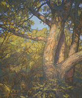 Rockport Trees, 30 x 25 inches, oil on linen