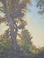 Singular Tree, 16 x 12, oil on linen